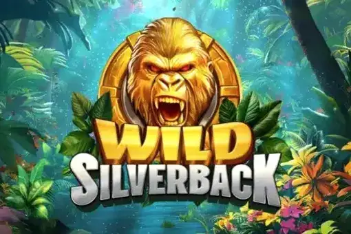 Wild Silverback